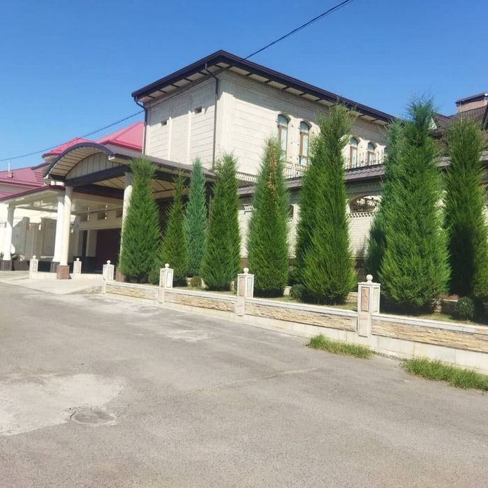 Archa kesish gazon palif xizmati