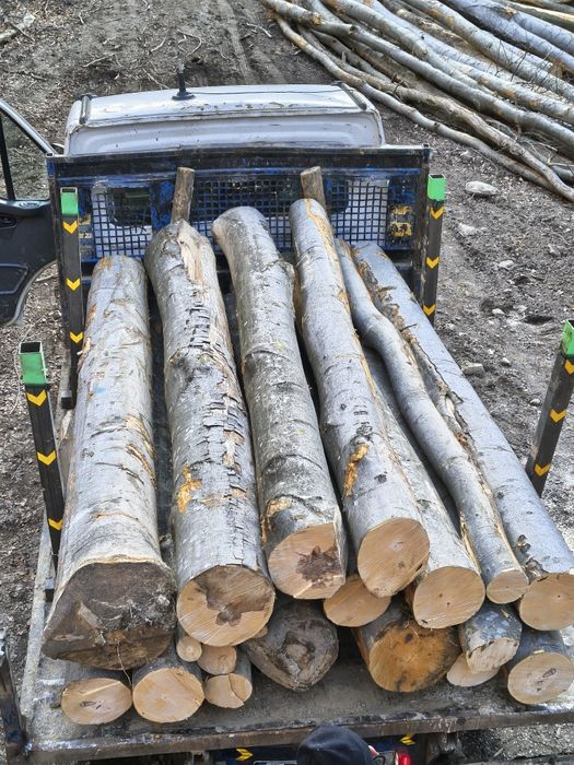 Lemne de foc fag, carpen!