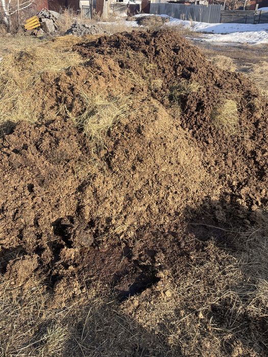 Навоз бесплатно для удобрений