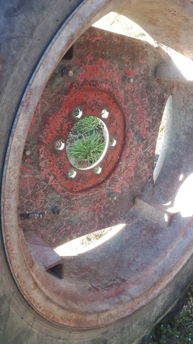 Cauciucuri tractor  12,4R28 cu jenti