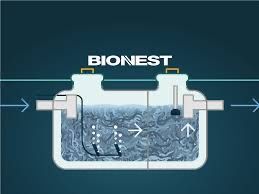 Sistem fosă bionest Canada. folosirea apei din fose Pentru grădină
