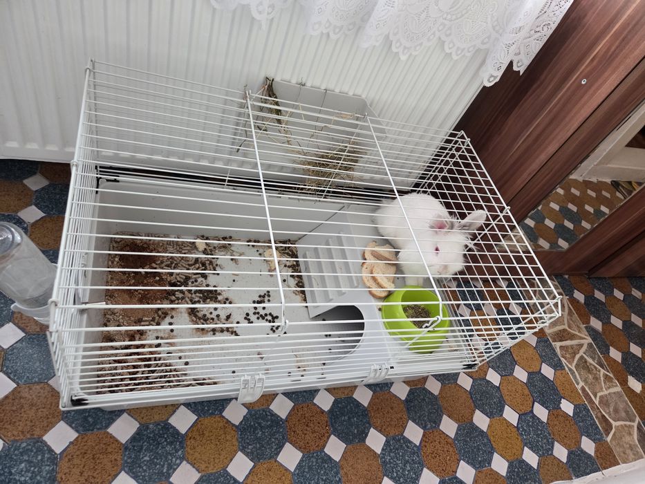 Cușcă iepure/răzătoare 80x50 cm