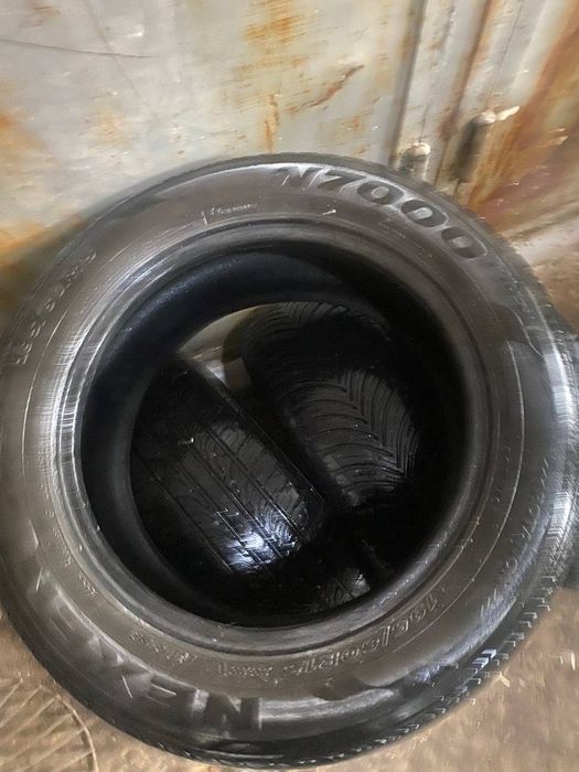 Archa va odiy balon 15