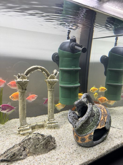 Acvariu sticla cu capac si neon 113L Eheim + filtru, incalzitor, plasa, substrat, pietris alb