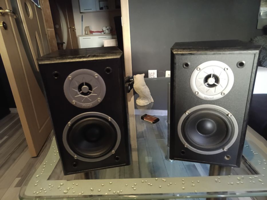 Magnat monitor supreme 100