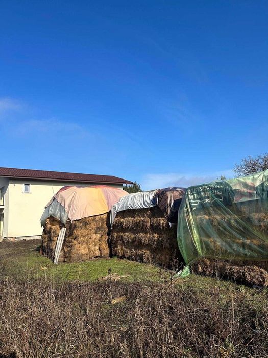 Vând baloți de iarbă și lucernă 20-30 lei