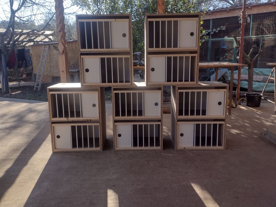 Boxe,hrănitori, lăzi pentru porumbei