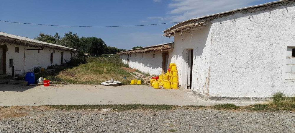 Parrandachilik fermasi