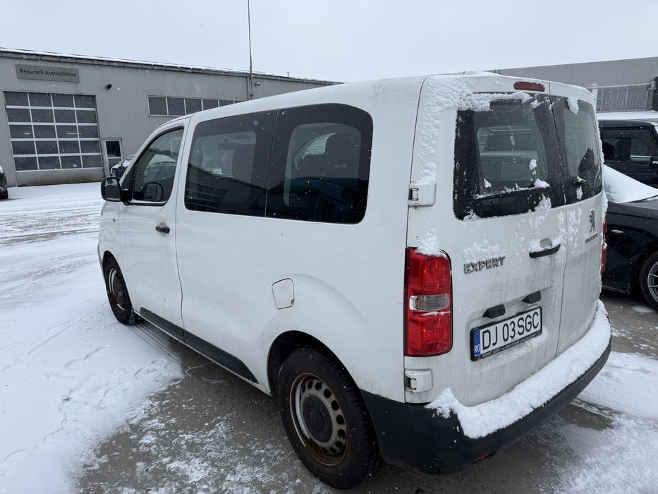 Vand Peugeot Traveler