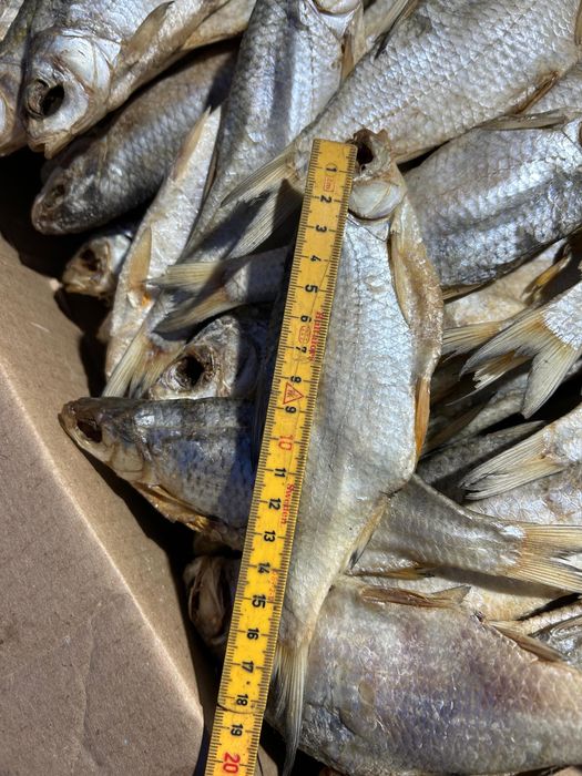 вобла сушенный