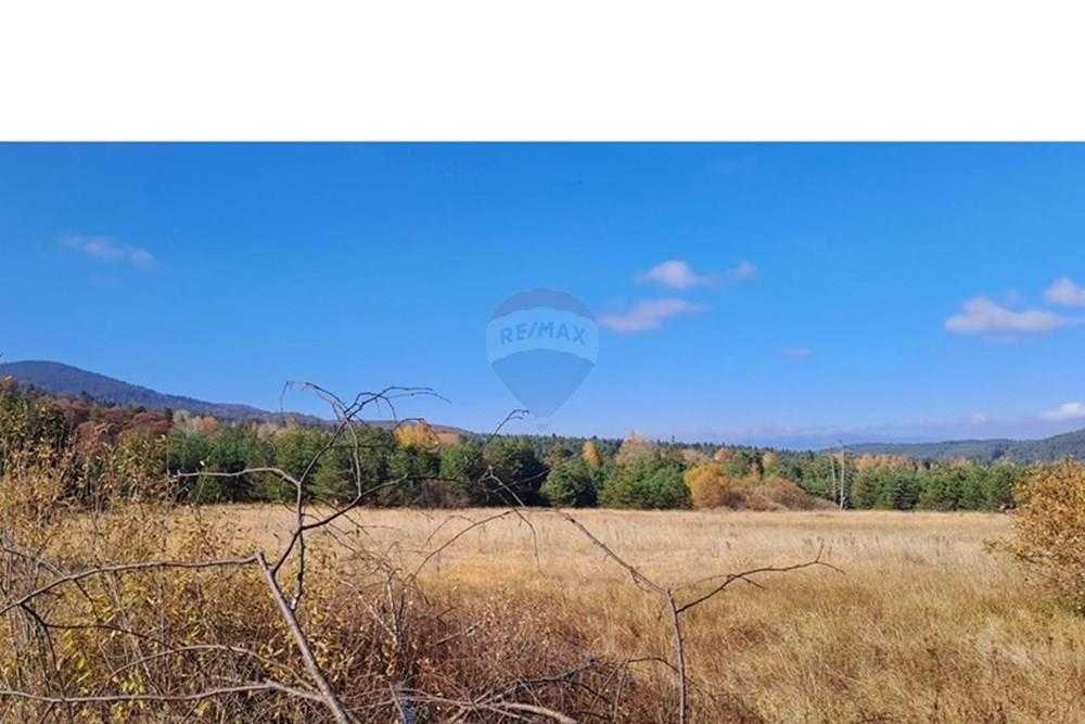 Продава се Парцел в Батак - 9309 кв.м за 2296 €/кв.м - Снимка #11