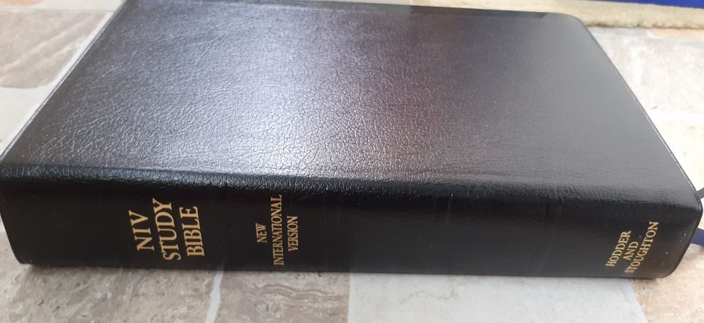 Biblie in engleza NIV