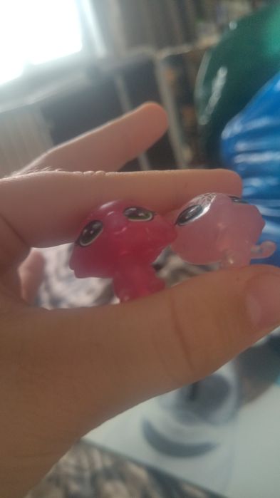 Продам лпс малышей