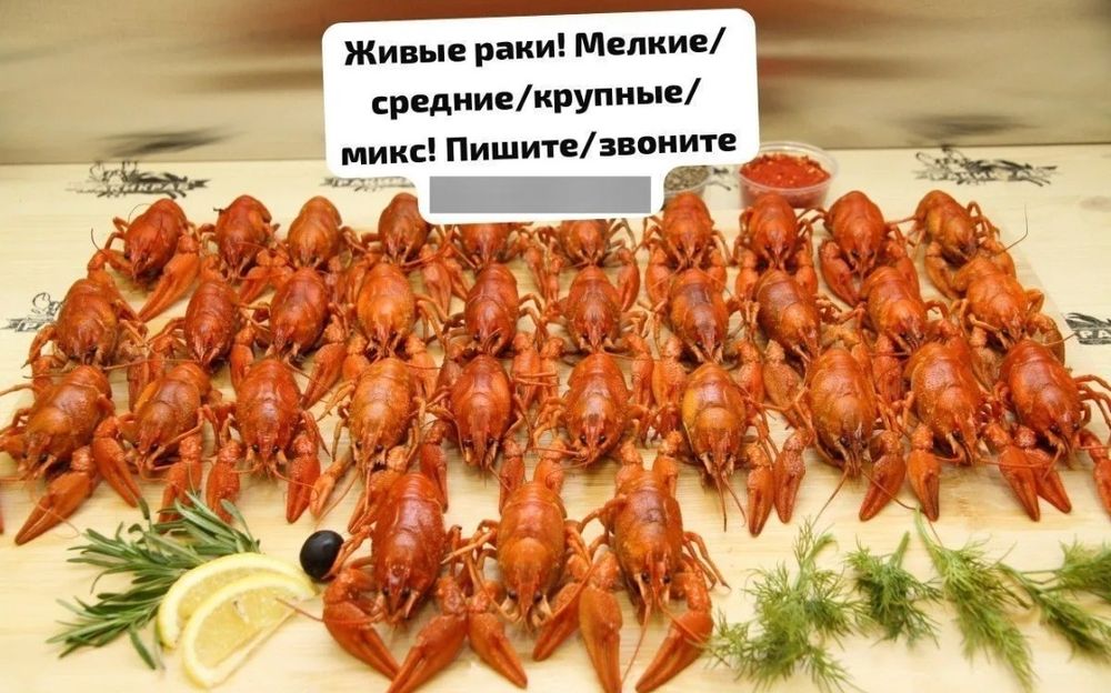 Живые раки раки местные