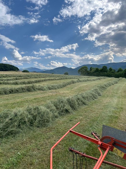 Baloți rotunzi de fan