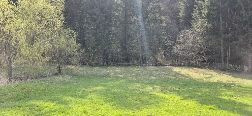 Teren Tarcău  intravilan