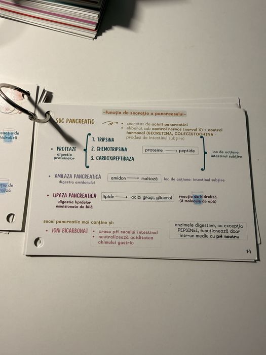 Flashcards Barrons UMF Craiova