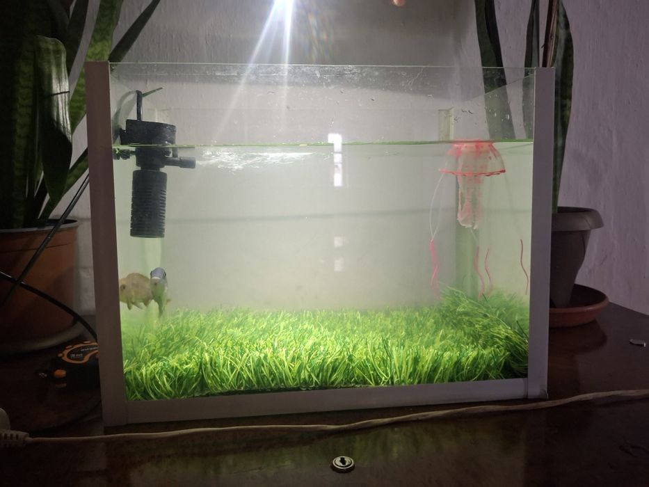 Продам аквариум 24 литрови
