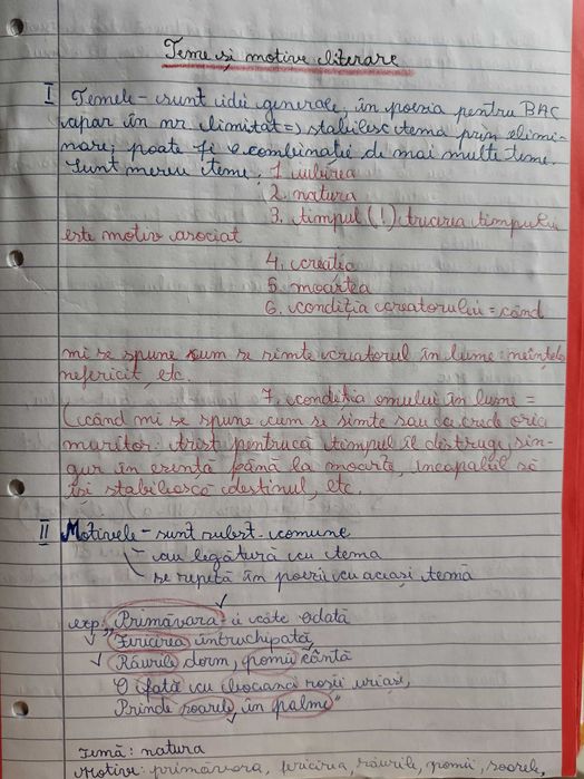 Caiet Bac pentru Română, tot ce ai nevoie