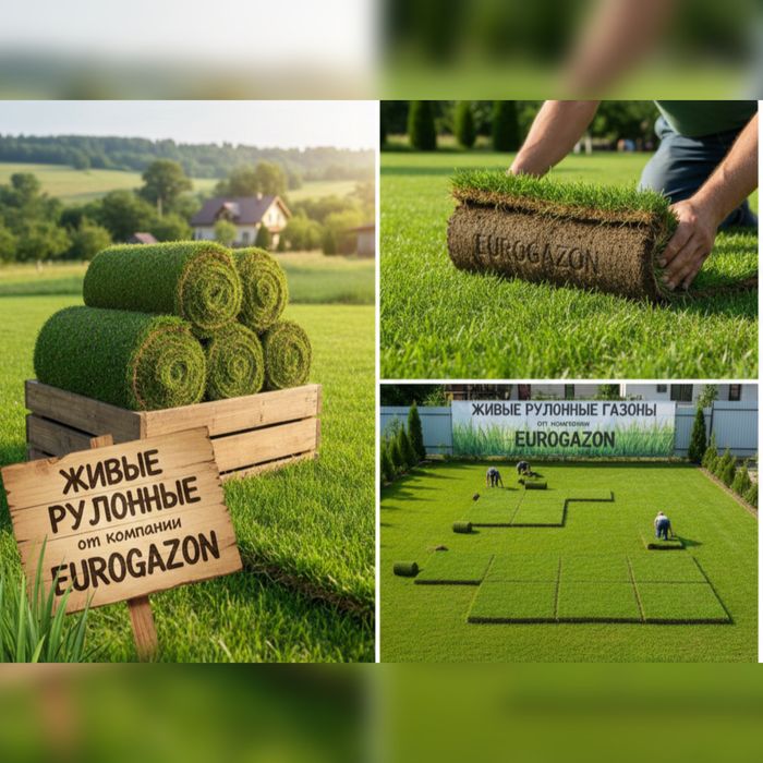 Таййор газон | доставка и установка