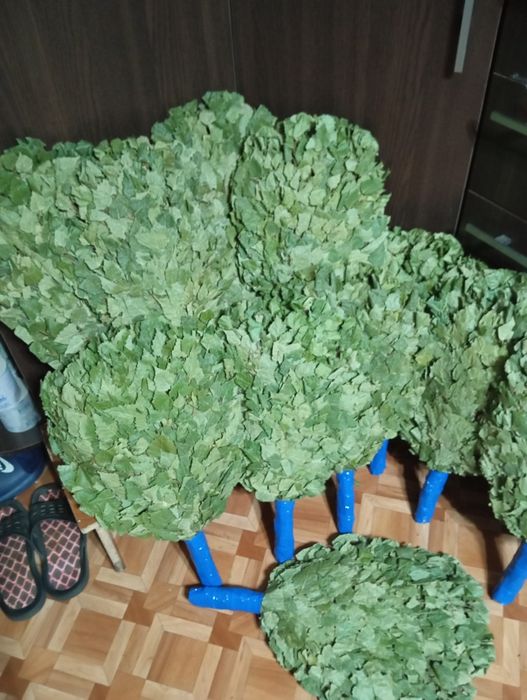 Банные веники(берёза)