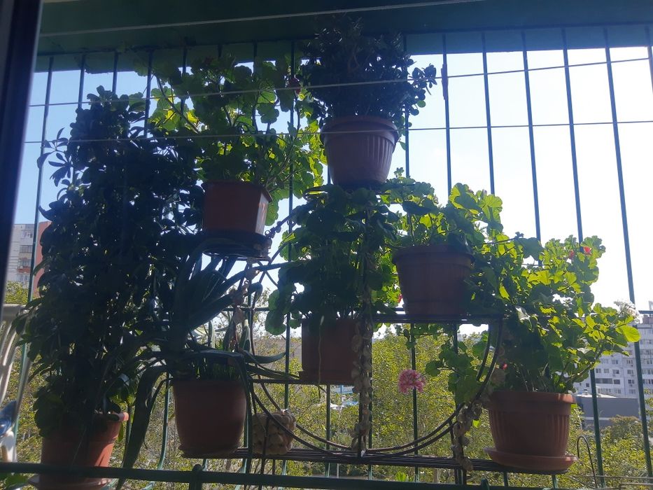 Мебел,Цветарник за дома.НАМАЛЕНИЕ 199лв