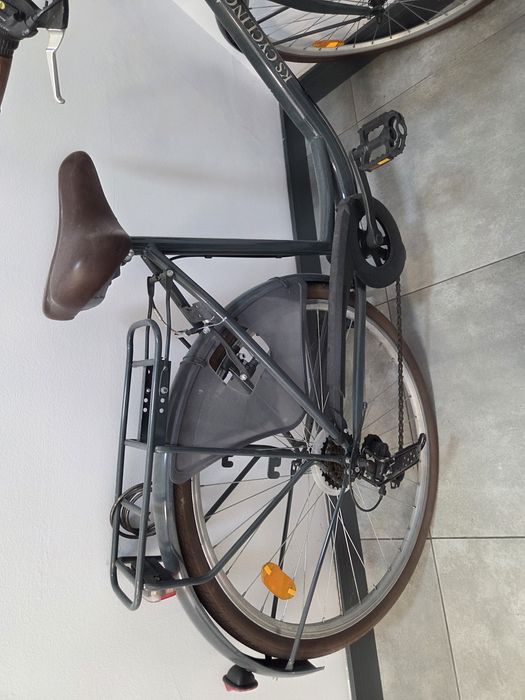 Bicicleta de oras dama