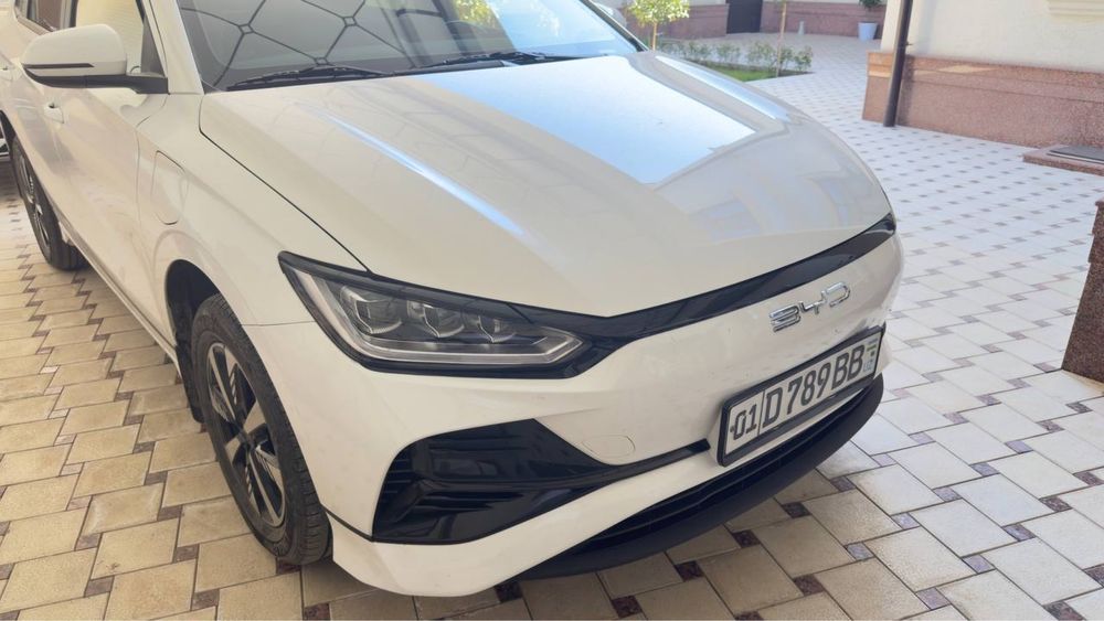 BYD E2 LUXURY full pozitsiya