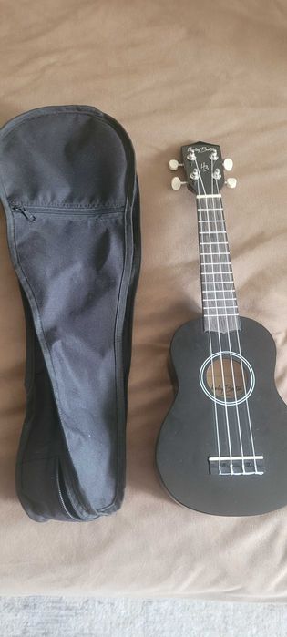 Instrumente muzicale