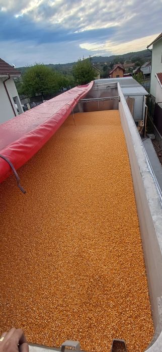 vand porumb frumos1,20kg,grau,orz,floare,mazare,tarate