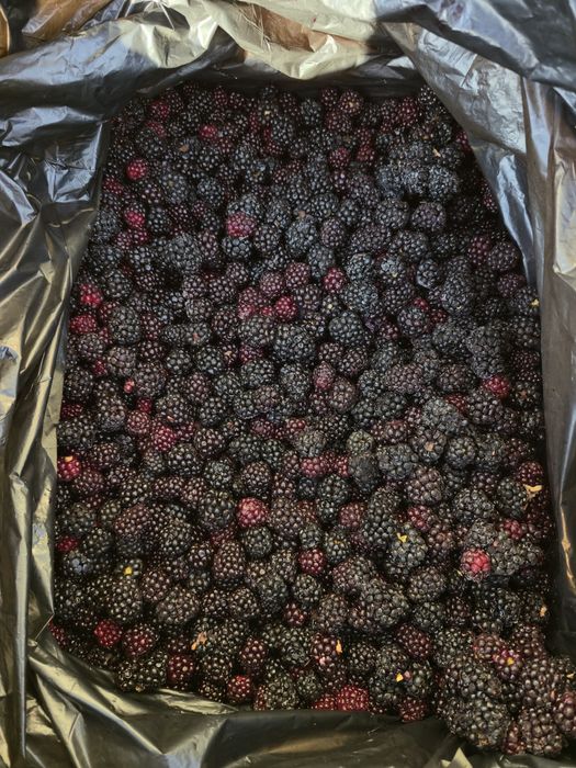 Замороженная клубника