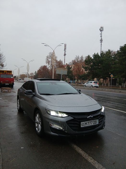 Malibu 2 xl 2023 Краска Тозза