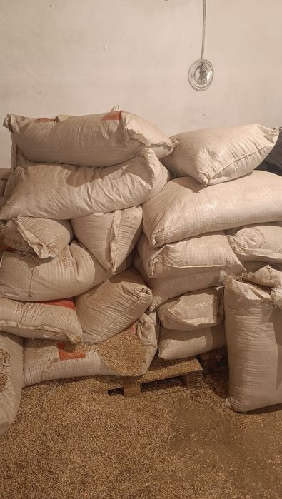 Продам отрубы/от