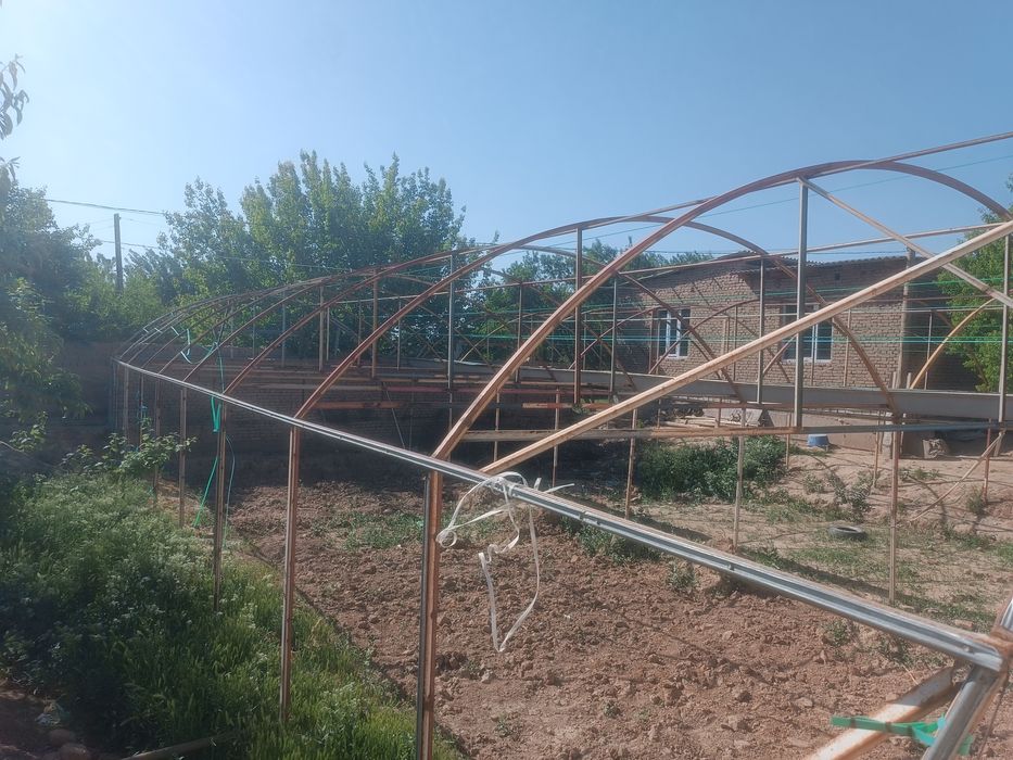 tiplisa yaxshi xolata turibdi