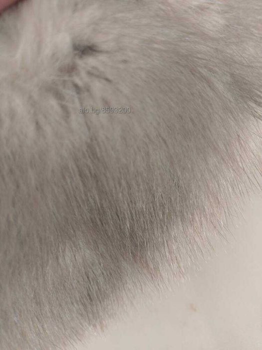 Яка от естествен косъм норка