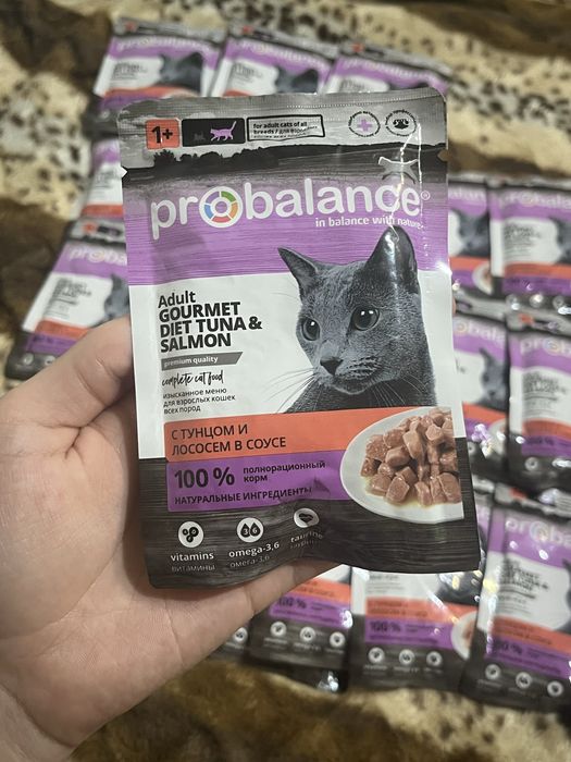 Влажный корм для кошек probalance цена за все