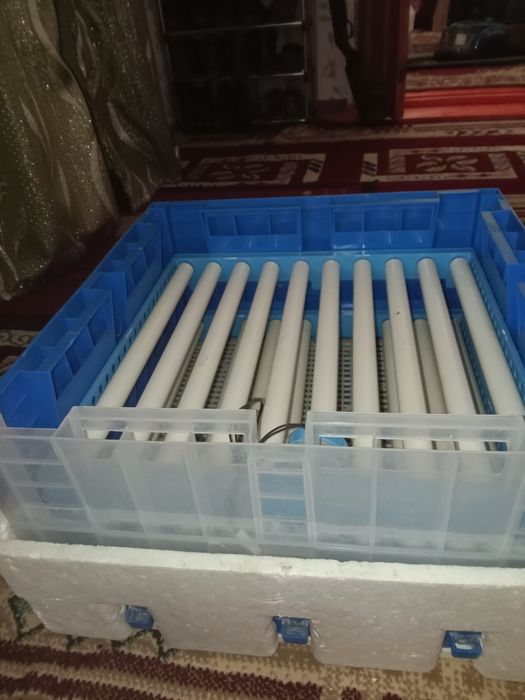 Инкубатор сатылады