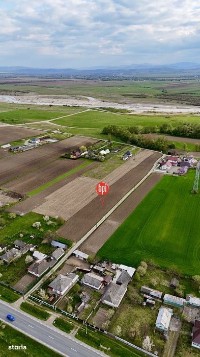 SE VINDE Teren Intravilan de 6.200mp in Loc.Rosiori, Com.Forasti, SV