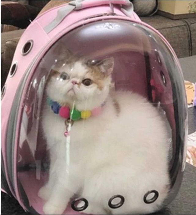 Розова раница- транспортна чанта за домашни любимци