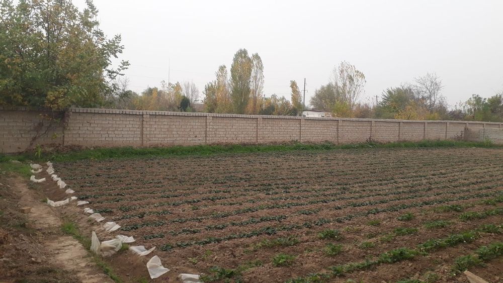 Учаска сотилади 8сотик