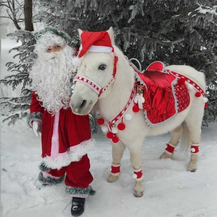 Дед Мороз и Снегурочка