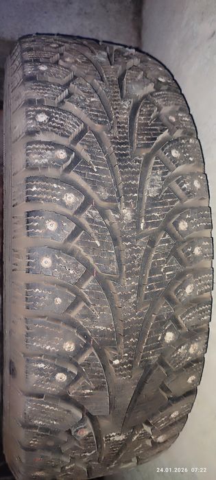 r15 195 га 65 кишги балон