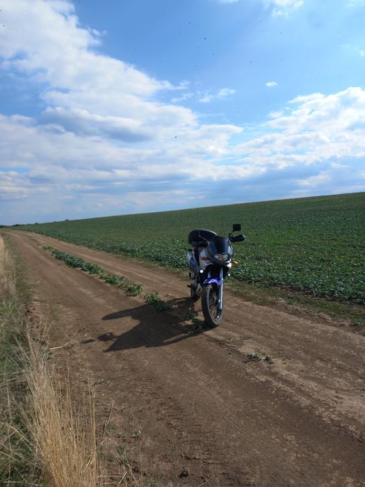 Suzuki XF650 1800 €