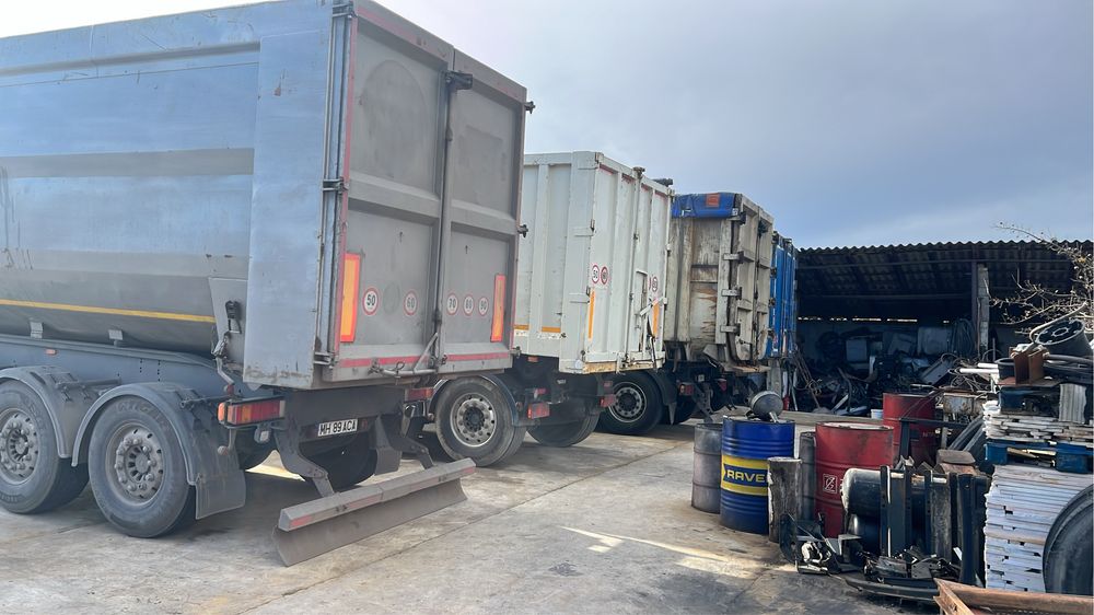 Bena schmitz kempf stas