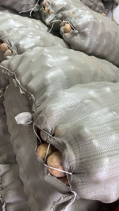 Домашняя картошка — 7 000 ₸