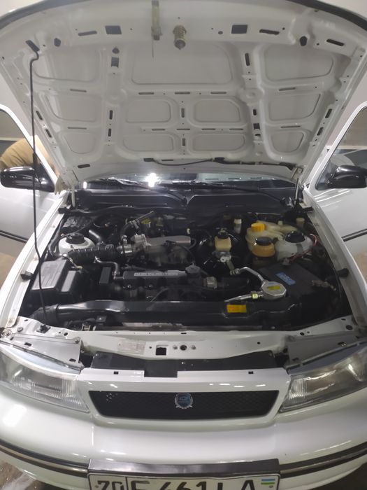 Nexia lyux kaditsioner vikub,  arenda, naxT