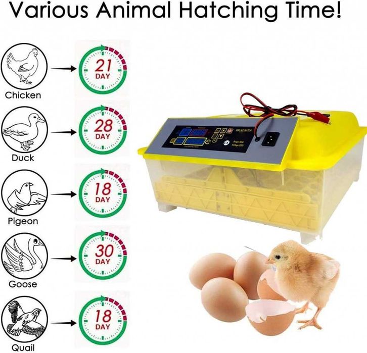 Напълно автоматичен инкубатор за 48 яйца 80W YZ8-48