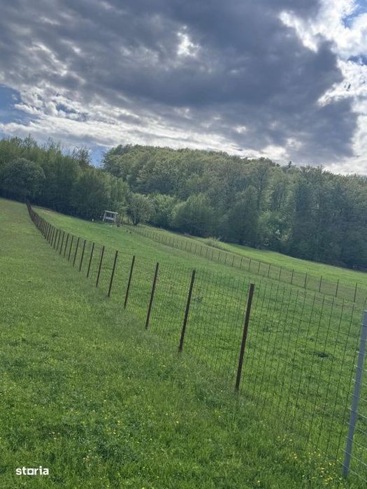 Teren intravilan, 2500mp, Voievodeasa, Marginea
