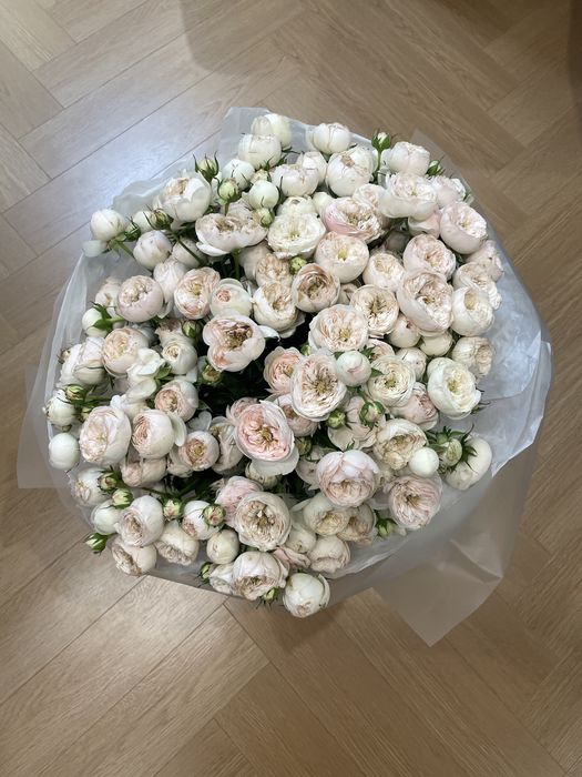 Кустовые розы, цветы