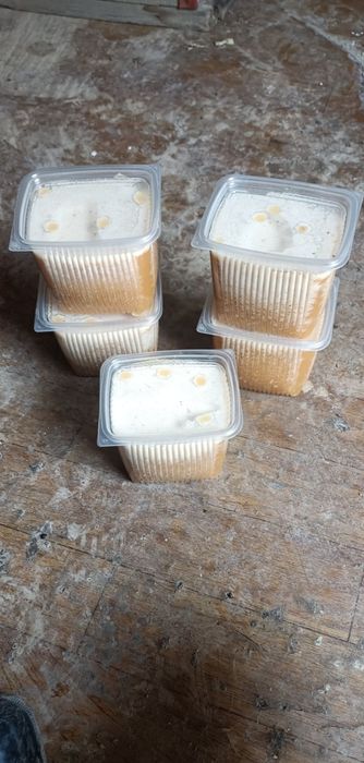 Продаю горный мёд в кабанбае